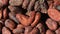 Rotation macro unpeeled cocoa bean, top view