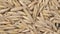 Rotation of oats close-up. Lots of grains. 4K video. Super macro. A crop of cereals.