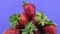 Rotation of a pile of ripe juicy red strawberries in dew drops, isolated