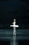 In rotation-The Swan Lakeside-ballet Swan Lake