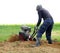 Rotavating the allotment stock photo