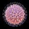 Rotavirus isolated on black background