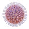 Rotavirus isolated on white background