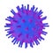 Rotavirus, an RNA virus which causes diarrheal infection in children
