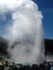 Rotorua Geyser New Zealand