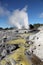 Rotorua Geysers - New Zealand