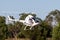 RotorWay Exec 162FA VH-DXB kit built helicopter on approach to land at Tyabb airport