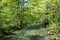 Rottach river flowing through springlike forest, near Tegernsee