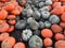 Rotted black pumpkins between the orange one in the field