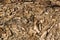 Rotted dry crushed mouldering wood background