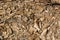 Rotted dry mouldering crushed wood background