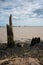 Rotted pilings, pagodas, Orford Ness