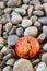 Rotten apple on pebble stones