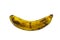 Rotten banana isolated on white background