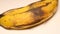 Rotten banana spinning on a white background. Spoiled fruit