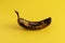 Rotten banana on yellow background. Excessive consumption concept.