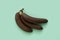 Rotten bananas on a mint green background. Darkened tropical fruit. Minimal composition of black bananas
