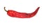 Rotten chili pepper isolated on white background.