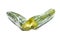 Rotten cucumber in plastic foil