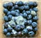 Rotten food : mouldy blueberry fruit