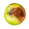 Rotten Green Apple