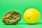 Rotten lemon and fresh lemon compare, green background