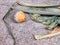 Rotten lemon mold cabbage onion green yellow tranquil dawn vegetables top view still life