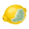 Rotten Lemon with Stinky Rot Covered the Skin Vector Illustration
