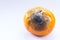 Rotten mandarin on a white background. Citrus covered with mold. A spoiled fruit. Copy space. Close-up.