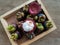 Rotten mangosteen on brown tray, Top view