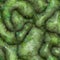 Rotten mouldy green zombie brains 3D illustration