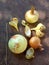 Rotten onions, crop failure and onion diseases