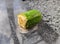rotten piece of half a cucumber on the street