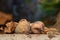 Rotten ripe figs standing on the ground with blurred background