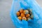 Rotten spoiled tangerine or mandarin fruits in plastic bag. Ugly moldy fruit. Improper food storage. Concept - reduction of