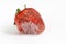 Rotten strawberry with large mold