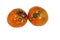 Rotten tomatoes after illness from lack of heat and light. Isolated on white background. Tomato is rotten. A tomato.