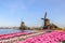 Rotterdam Netherlands, Dutch Windmill at Kinderdijk Village