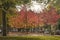 Rotterdam town square in autumn