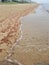 Rotting algae seaweed lined along beach surf zone