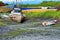 Rotting Boat along Kachemak Bay