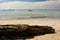 Rotting log laying on the beach sand