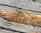 Rotting wood on boardwalk path