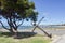 Rottnest Shipwreck Anchor