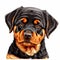 Rottweiler Dog Illustration Cute Pet Art for Dog Lovers.