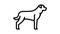 rottweiler dog line icon animation