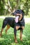 A Rottweiler dog with a long tongue panting