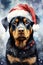 Rottweiler dog with santa claus hat watercolor illustration. Christmas Rottweiler dog illustration.