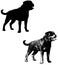 Rottweiler dog silhouette and sketch illustration