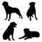 Rottweiler Dog Vector Silhouette